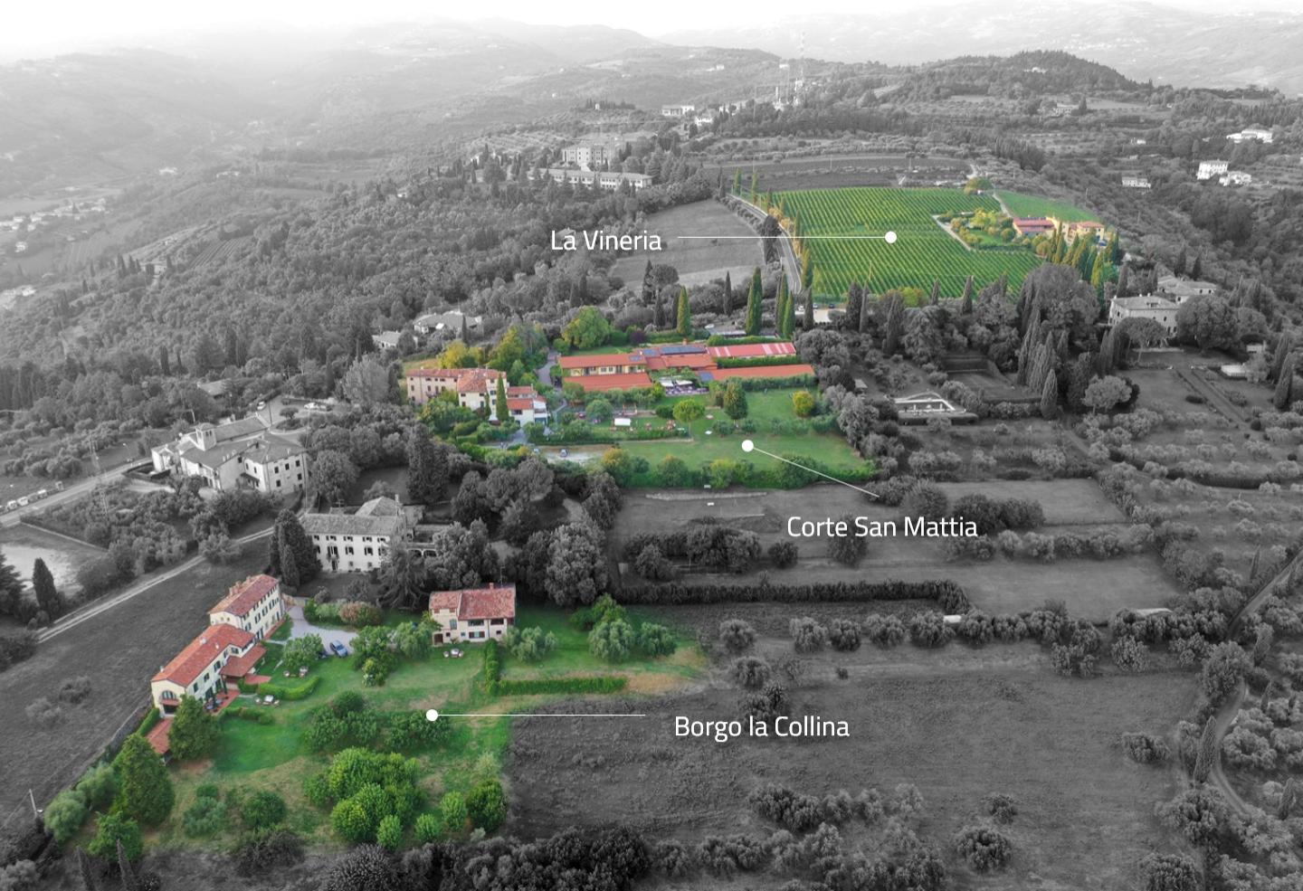 Vista aerea di Corte San Mattia, Borgo la Collina e La Vineria tra i vigneti.