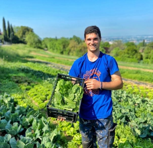 Un agricoltore felice mostra il raccolto di verdure fresche nel suo campo verde.