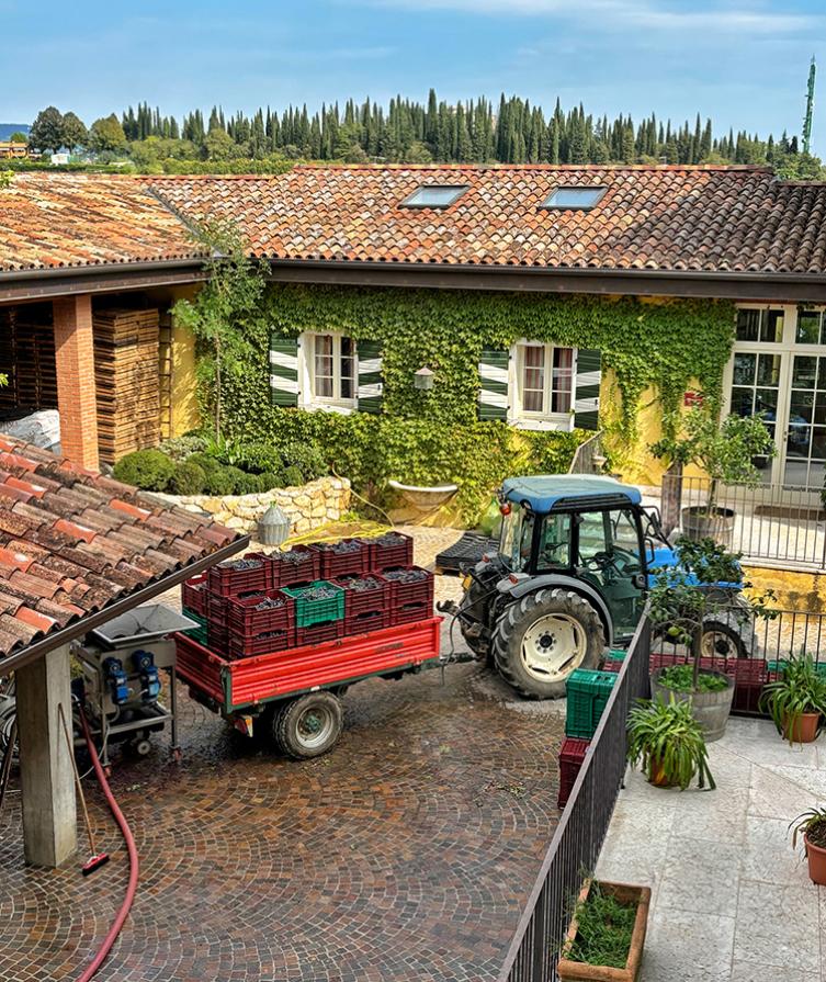 Cortile rurale con trattore, cassette di raccolta e edificio ricoperto di edera.