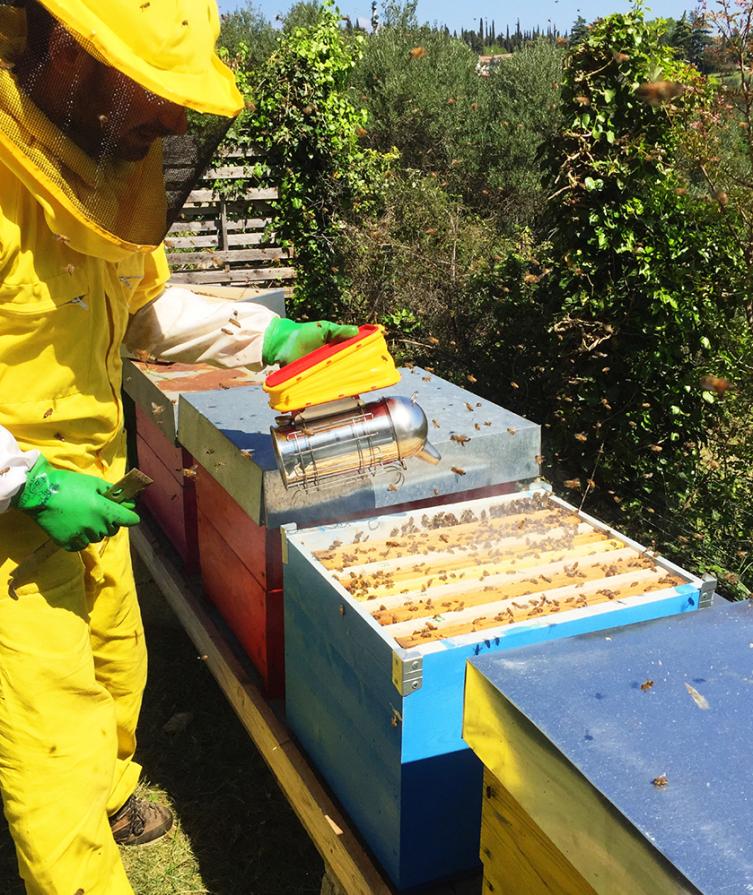 Beekeeper in yellow suit works with beehives.