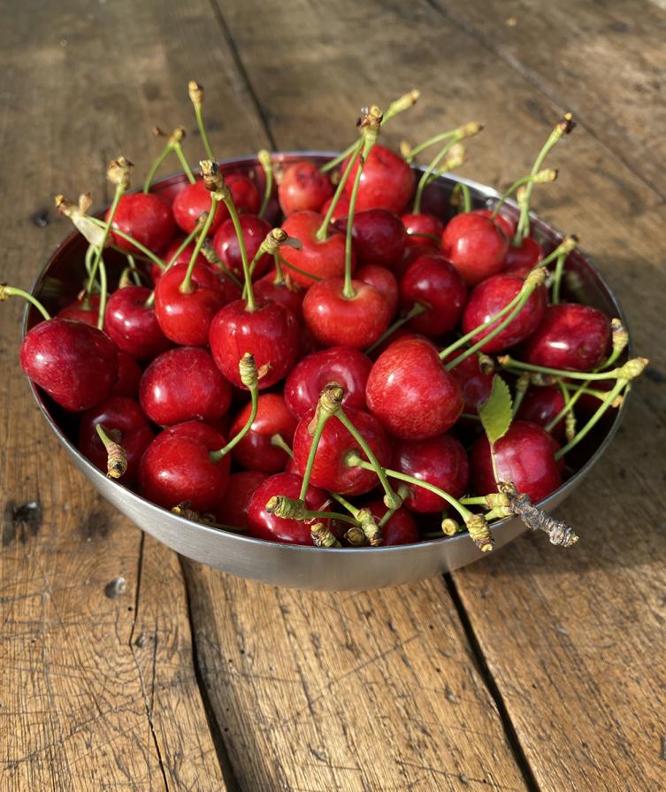 Ciliegie rosse fresche in una ciotola su un tavolo di legno.