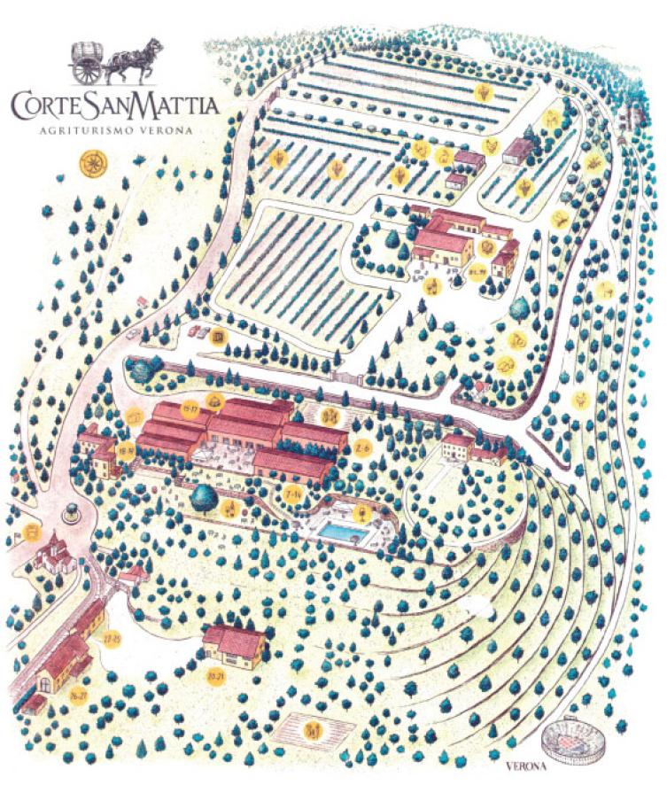 Mappa dell'agriturismo Corte San Mattia con vigneti, edifici e aree numerate.